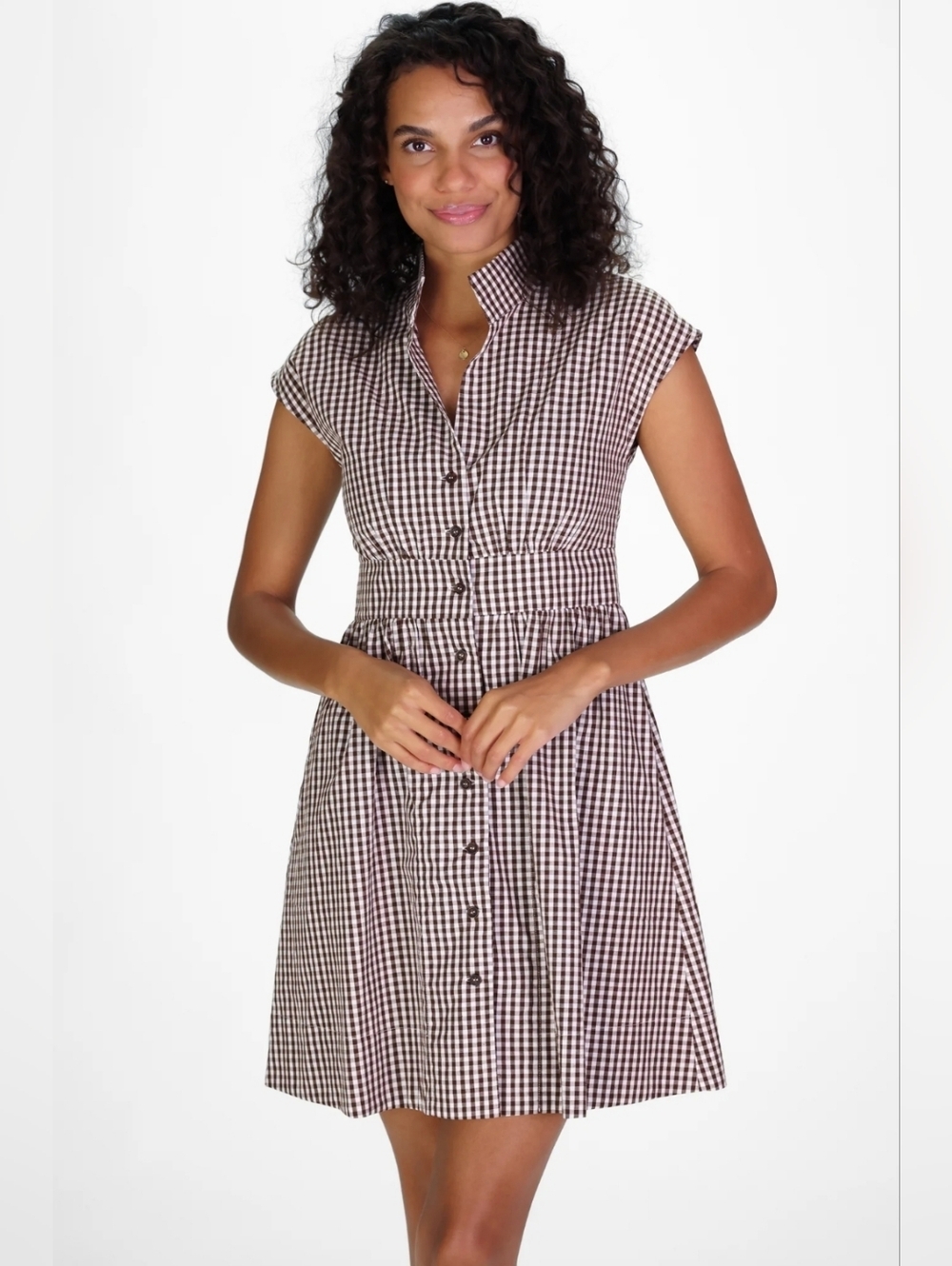 NWT Gingham Fit & Flare Dress in Brown/White XL